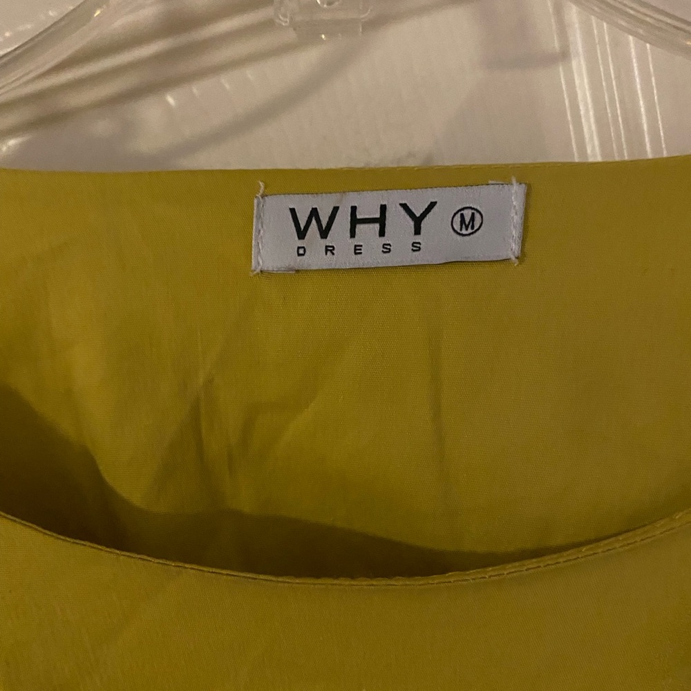 Large, mustard yellow.